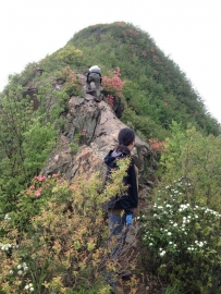 2025-06-14 | 大冶龙角山穿烈马回头登山徒步一日行